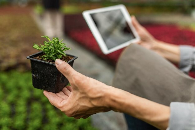 Jak technologie smart mogą wpłynąć na komfort i funkcjonalność ogrodu przydomowego?